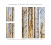 LIA-STEIN-ph-_PIANETA-TERRA-_4-pannelli-30x180-composizioni-varie-_stampa-fineart-tiratura-limitata-_L_ATELIER-di-LIA-STEIN,-via-VENIERO,-8-MILANO-_foto-per-COMUNICAZIONE