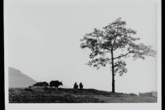 F22_87_recto-web-copia