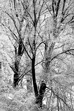 comeneve MG 0542 - Milano Photofestival