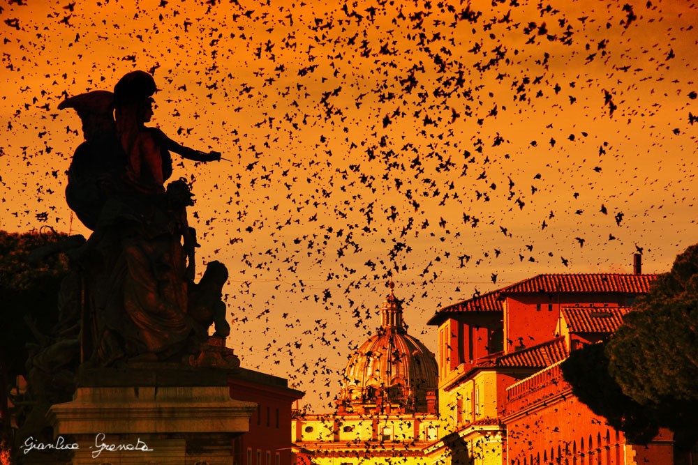 Granata Sua Maestà Roma 04 6 - Milano Photofestival
