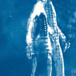 Darkness – Blue Glow